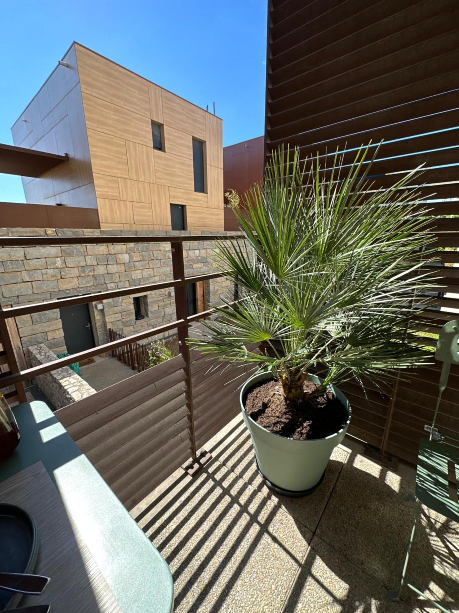 Appartement Charmant Au Porte De Montpellier Saint-Jean-de-Védas Exterior foto